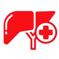 Liver Health & Detox